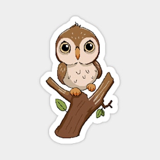 Cute owl hanging on a branch Magnet