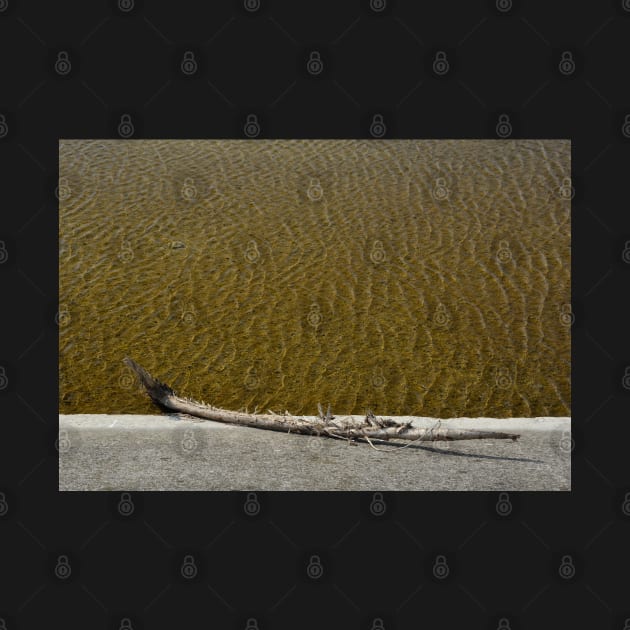 Driftwood Log Next to Rippled Shallow Water by jojobob