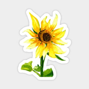 Yellow Sunflower Watercolor Painting Magnet