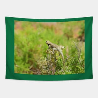 Lizards, yellow backed spiny lizard, reptiles, On the Lookout Tapestry