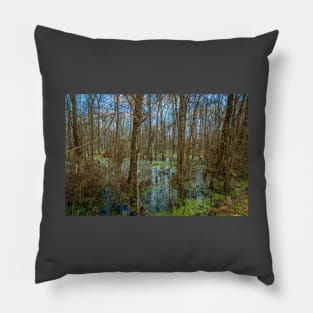 Swamp in Southeastern Georgia Pillow