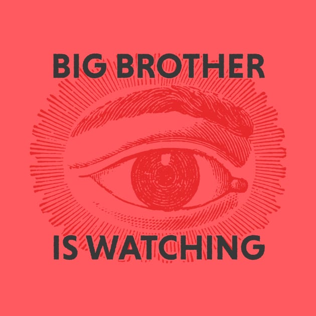 Big Brother is watching by this.space