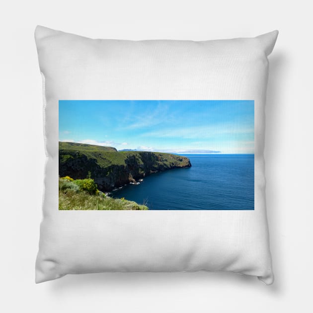 Channel Islands National Park Santa Cruz Island Pillow by supernova23