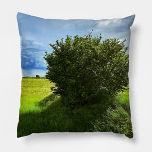 Nature Green Grass Tree Sky Clouds Italian Landscape Pillow