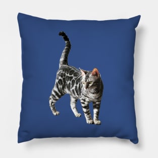 Bengal Cat Kitten Silver Spotted Beauty Pillow