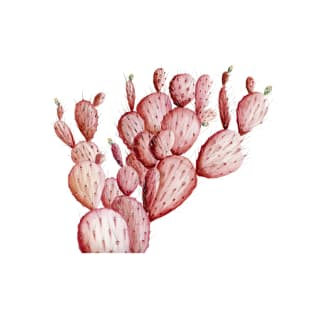 Pink Cacti T-Shirt