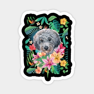 Tropical Gray Silver Toy Poodle 2 Magnet