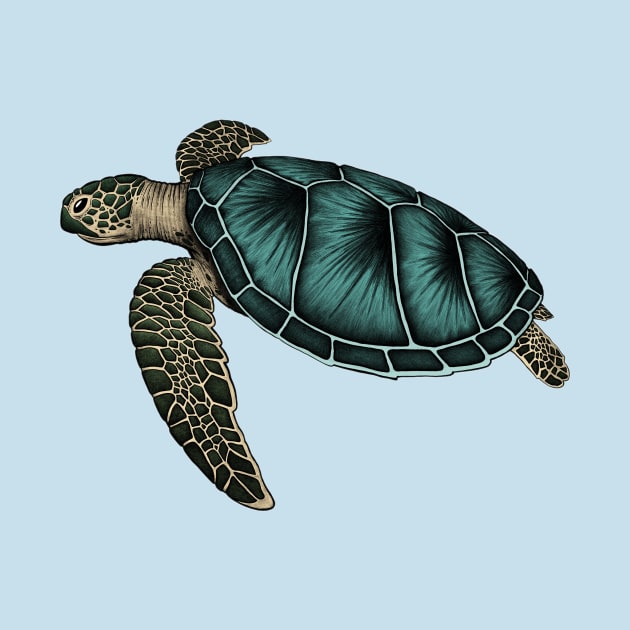 Sea turtle by Akman