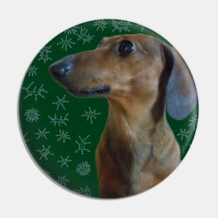 Dachshund Snow Pin