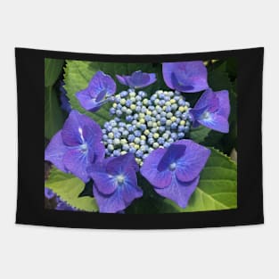 Open Hearted Blue Hydrangea Tapestry