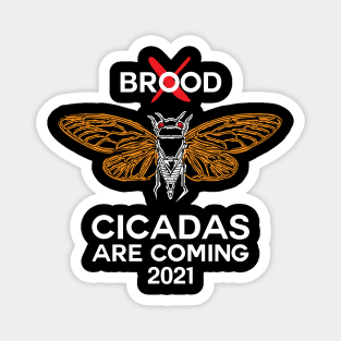 Brood X Cicadas are coming 2021 Magnet