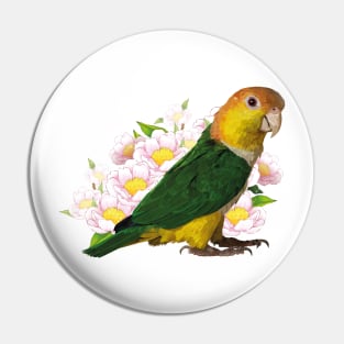 caique Pin