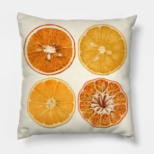 Retro Style Orange & Lemon Slice Art Pillow