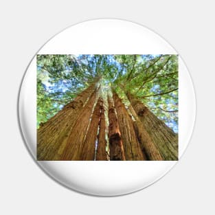 Redwood Grove Pin