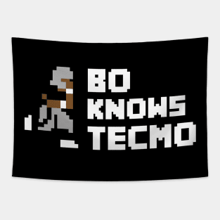 Bo Knows Tecmo Tapestry