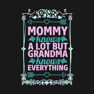 Grandma Knows Best My first Grand Mothers day gift T-Shirt