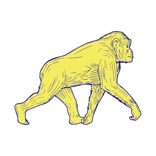 Chimpanzee Walking Side Drawing T-Shirt