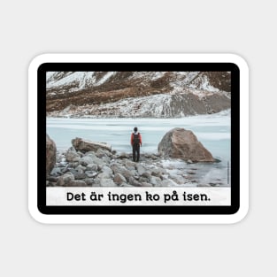 No Need to Worry | No Cows on the Ice | Inspirational Swedish Sayings Magnet