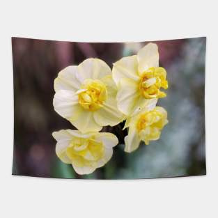 Daffodils in Spring Tapestry