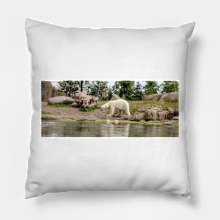 Polar bear walking by lake Pillow