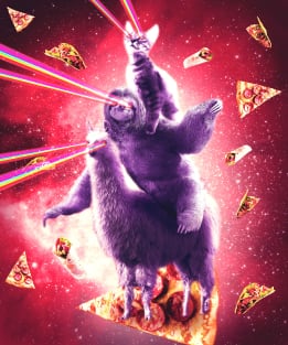 Laser Eyes Space Cat Riding Sloth, Llama - Rainbow Magnet