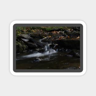 Fog on the Rocks Magnet