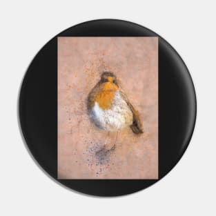 Vintage robin print Pin