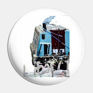 Narrowboat and swans Pin