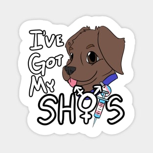 I've Got My Shots (Chocolate Lab, HRT) Magnet