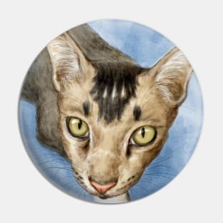 Cute adorable cat portrait watercolor painting Pin