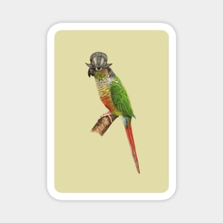 Green-cheeked parakeet Magnet