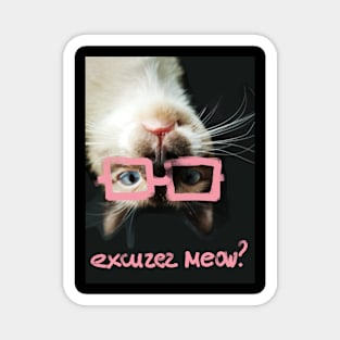 Excuzez Meow? Magnet