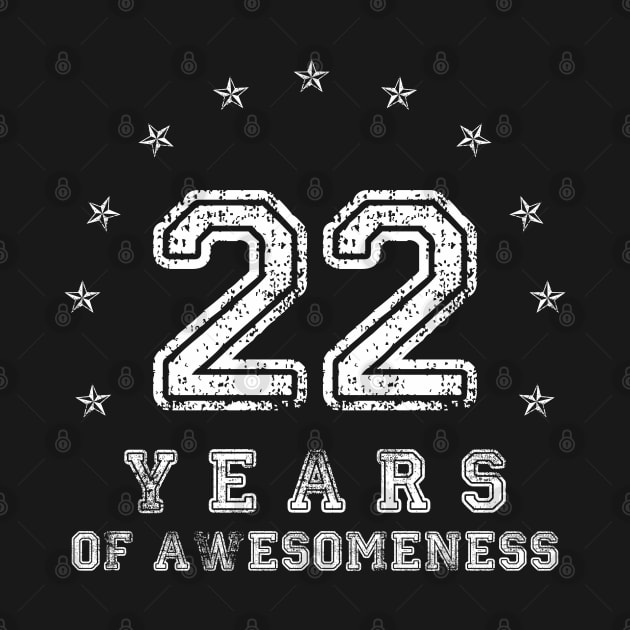 Vintage 22 years of awesomeness by opippi