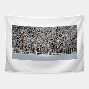 Rural Winter Tapestry