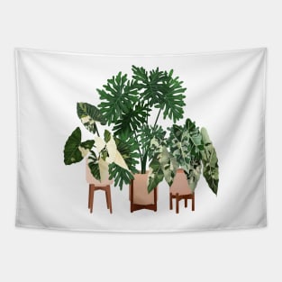 Potted Plants 10 Tapestry