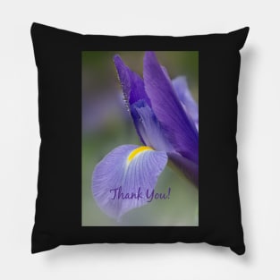 Iris Thank You Card Pillow