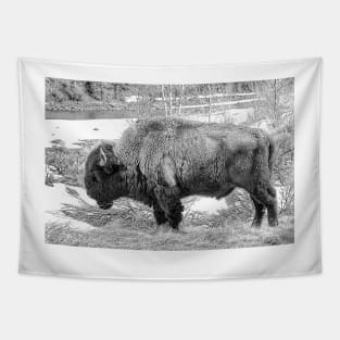 The Spirit Of The Buffalo  - Black And White Tapestry