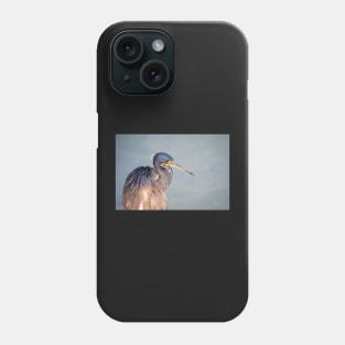 Tri-colored Heron Portrait in Morning Light Phone Case