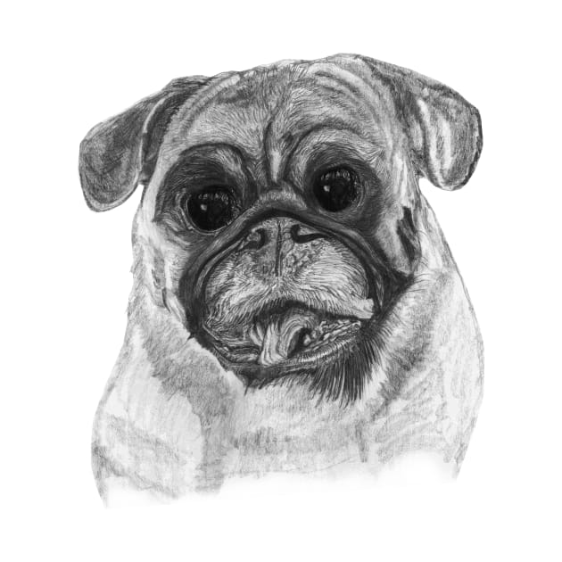 Billy The Pug by Carruthers