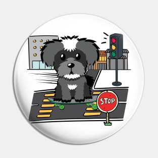 Funny schnauzer is on a skateboard Pin