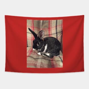 Tartan Easter Baby Bunny Rabbit Tapestry