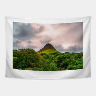 Benbulben Mountain, Sligo, Ireland Tapestry