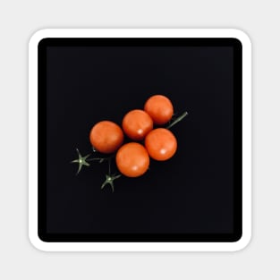 Tomatoes Magnet