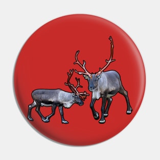 Santa Claus Reindeer Pin