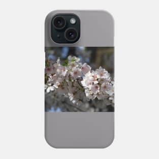 Cherry Blossoms Phone Case