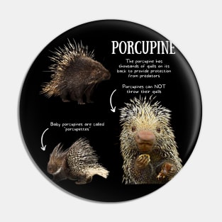 Animal Facts - Porcupine Pin