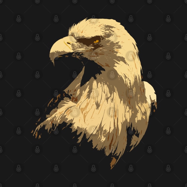 Eagle, bird by hottehue