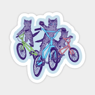 BMX Kittens Magnet