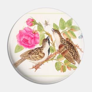 Pair of Brown Birds on Rose Stem with Butterfly and Spider (18th Century) Pin