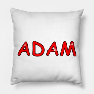 Adam name. Personalized gift for birthday your friend. Pillow